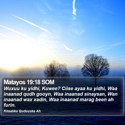 Matayos 19:18 SOM Bible Verse Image