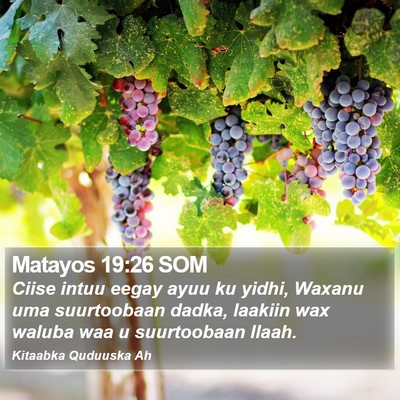 Matayos 19:26 SOM Bible Verse Image