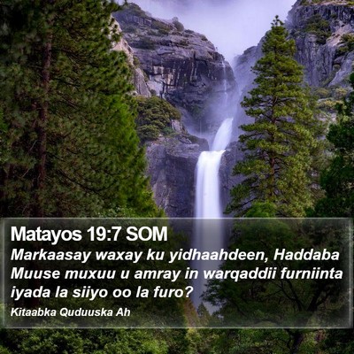 Matayos 19:7 SOM Bible Verse Image