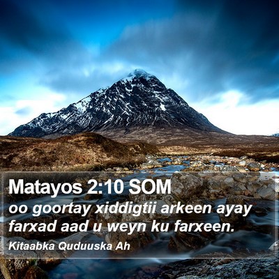 Matayos 2:10 SOM Bible Verse Image