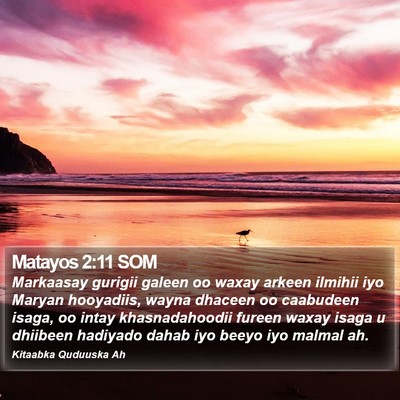 Matayos 2:11 SOM Bible Verse Image
