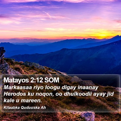 Matayos 2:12 SOM Bible Verse Image