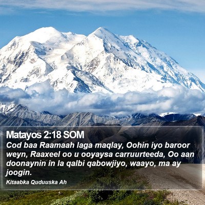Matayos 2:18 SOM Bible Verse Image