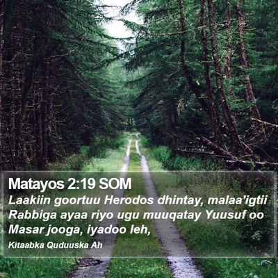 Matayos 2:19 SOM Bible Verse Image