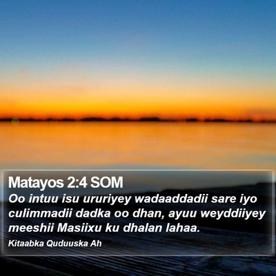 Matayos 2:4 SOM Bible Verse Image