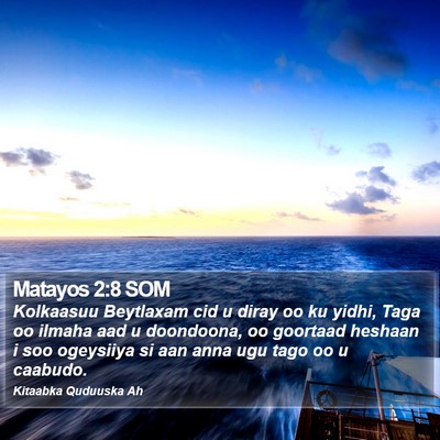 Matayos 2:8 SOM Bible Verse Image