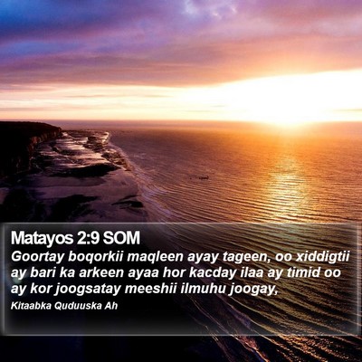 Matayos 2:9 SOM Bible Verse Image