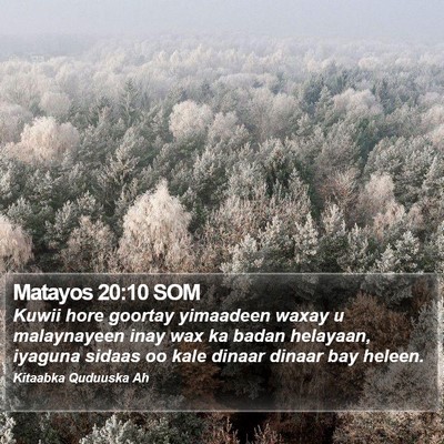 Matayos 20:10 SOM Bible Verse Image