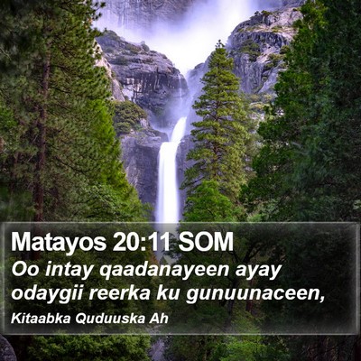 Matayos 20:11 SOM Bible Verse Image