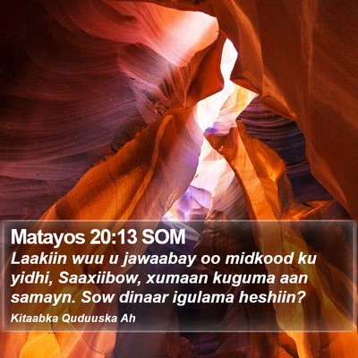 Matayos 20:13 SOM Bible Verse Image