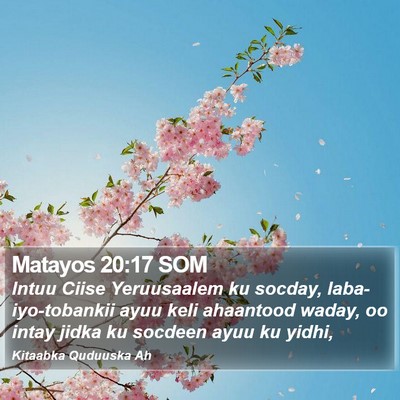 Matayos 20:17 SOM Bible Verse Image
