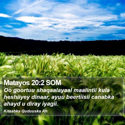 Matayos 20:2 SOM Bible Verse Image