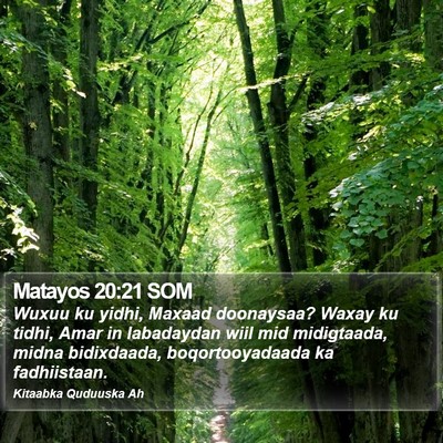 Matayos 20:21 SOM Bible Verse Image
