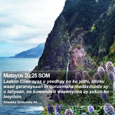 Matayos 20:25 SOM Bible Verse Image