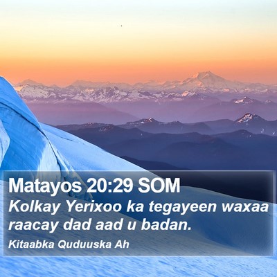 Matayos 20:29 SOM Bible Verse Image