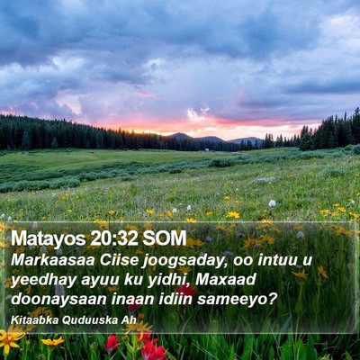 Matayos 20:32 SOM Bible Verse Image