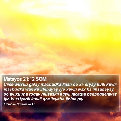 Matayos 21:12 SOM Bible Verse Image