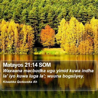 Matayos 21:14 SOM Bible Verse Image