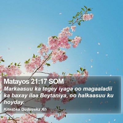 Matayos 21:17 SOM Bible Verse Image