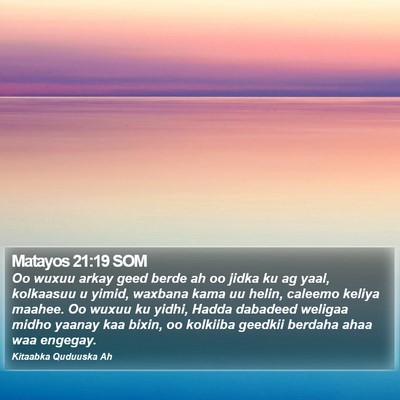 Matayos 21:19 SOM Bible Verse Image