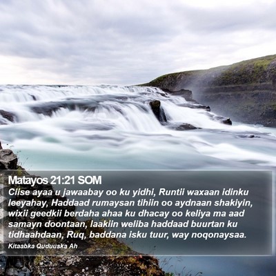 Matayos 21:21 SOM Bible Verse Image