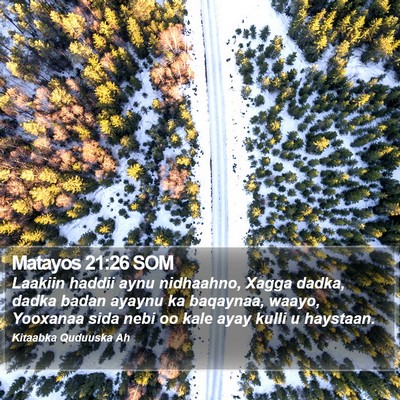 Matayos 21:26 SOM Bible Verse Image