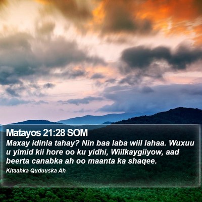 Matayos 21:28 SOM Bible Verse Image