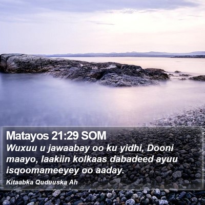 Matayos 21:29 SOM Bible Verse Image
