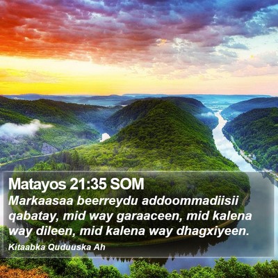 Matayos 21:35 SOM Bible Verse Image