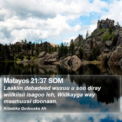 Matayos 21:37 SOM Bible Verse Image