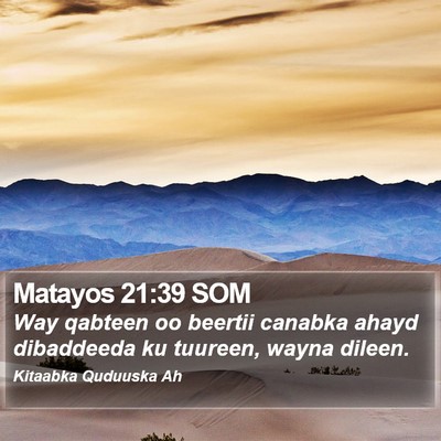 Matayos 21:39 SOM Bible Verse Image