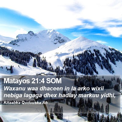 Matayos 21:4 SOM Bible Verse Image