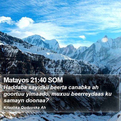 Matayos 21:40 SOM Bible Verse Image
