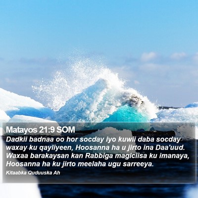 Matayos 21:9 SOM Bible Verse Image