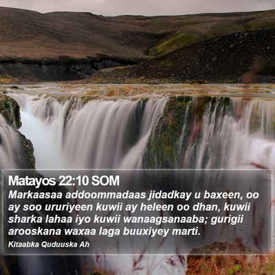Matayos 22:10 SOM Bible Verse Image