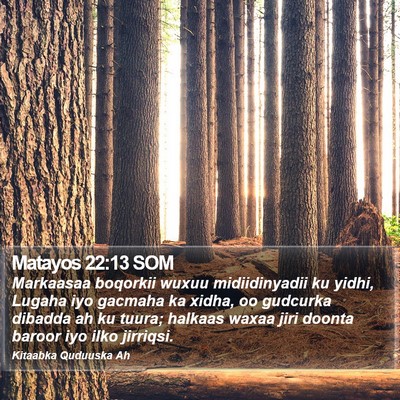 Matayos 22:13 SOM Bible Verse Image