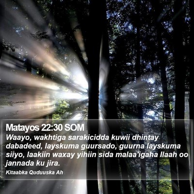 Matayos 22:30 SOM Bible Verse Image