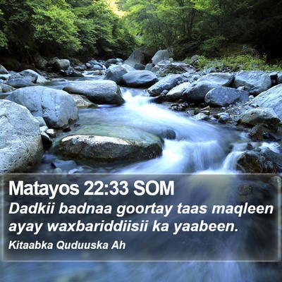 Matayos 22:33 SOM Bible Verse Image