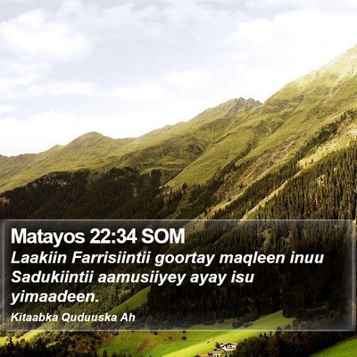 Matayos 22:34 SOM Bible Verse Image