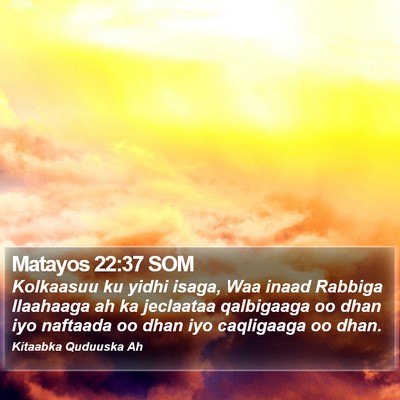 Matayos 22:37 SOM Bible Verse Image