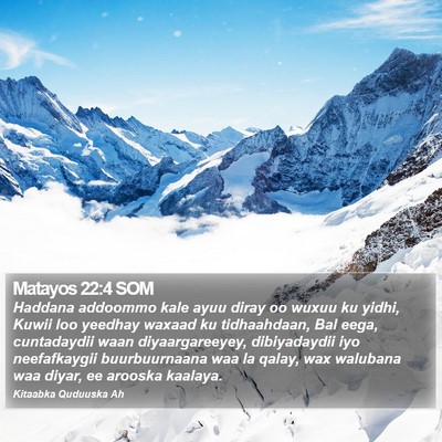 Matayos 22:4 SOM Bible Verse Image