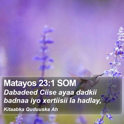 Matayos 23:1 SOM Bible Verse Image