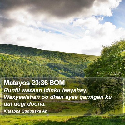 Matayos 23:36 SOM Bible Verse Image