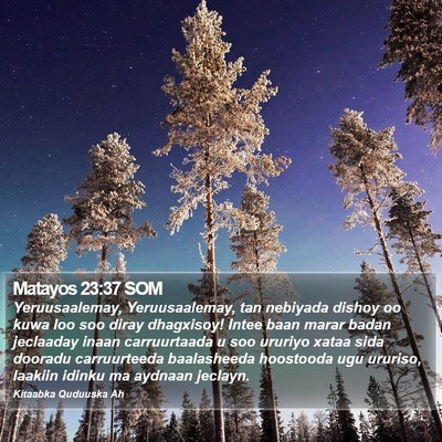 Matayos 23:37 SOM Bible Verse Image