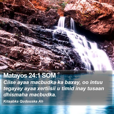 Matayos 24:1 SOM Bible Verse Image