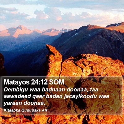 Matayos 24:12 SOM Bible Verse Image
