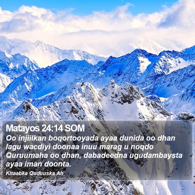 Matayos 24:14 SOM Bible Verse Image