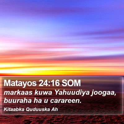 Matayos 24:16 SOM Bible Verse Image