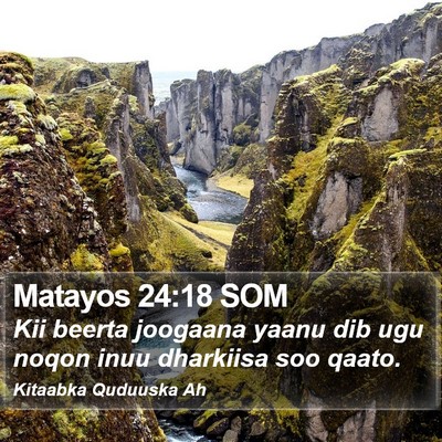 Matayos 24:18 SOM Bible Verse Image