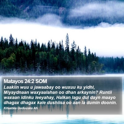 Matayos 24:2 SOM Bible Verse Image